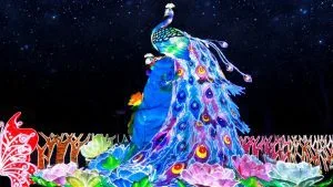 Dubai Garden Glow