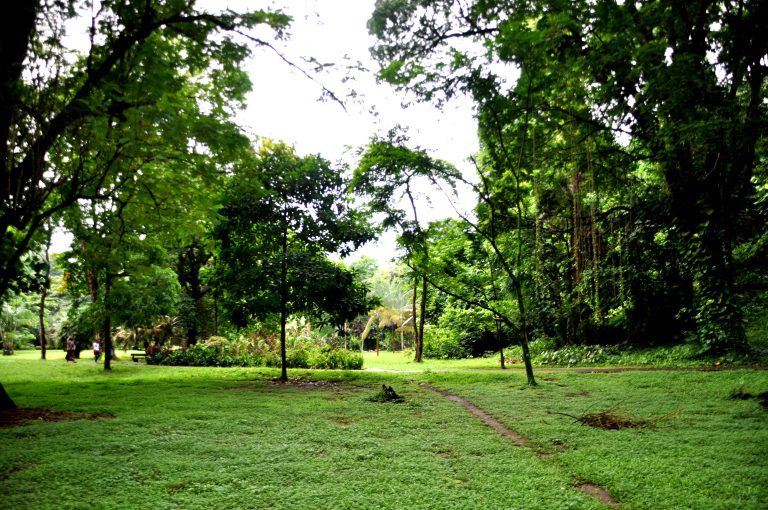 Two Tage Botanical Garden, coffee and Trekking