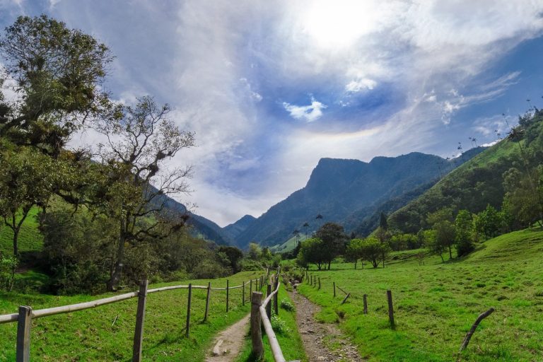 Full-Giorno Private Coffee Tour in Cocora Valley and Salento