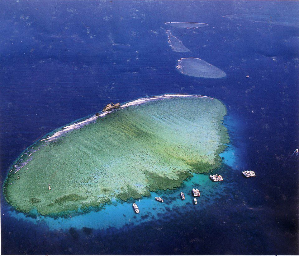 Snorkeling Trip to Tiran Island
