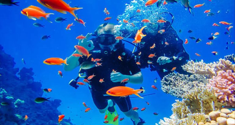 The Best of Egypt: Cairo, 尼罗河豪华游轮 & Sharm El Sheikh