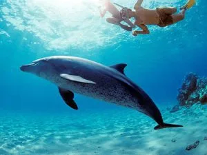 5-Tage Rotes Meer Urlaub: Hurghada & Nil-Kultur