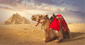 Camel Ride around the Pirámides