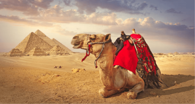 Camel Ride around the Piramidi