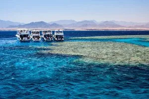 برنامج 13 يوماً: مرسى علم، نايل كروز فاخر واكتشاف أسوان | 13 ليلة