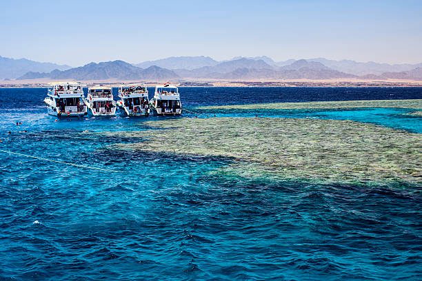 Scuba Diving in Sharm El Sheikh
