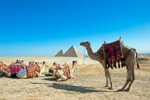 القاهرة مع دهبية نون ونوت الشراعية جولة