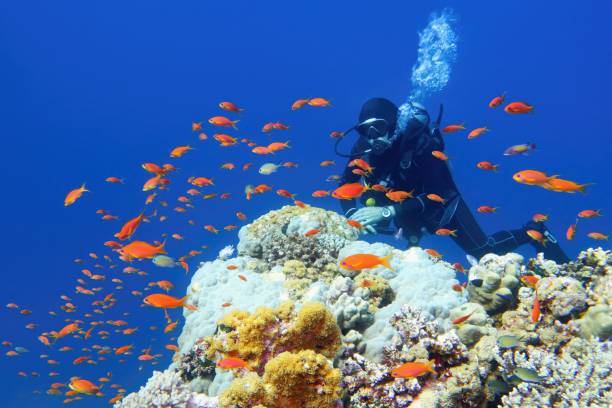 Vacaciones de 10 Días en el Mar Rojo: Hurgada y el Nilo