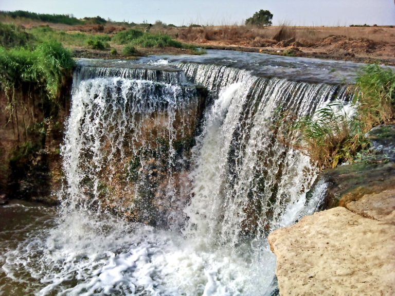 Однодневный тур to El Fayoum Из Каира