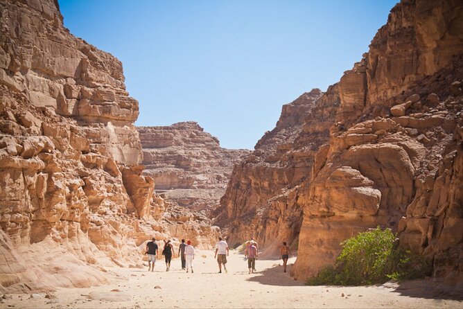 صعود جبل موسى وزيارة دير سانت كاترين من شرم الشيخ