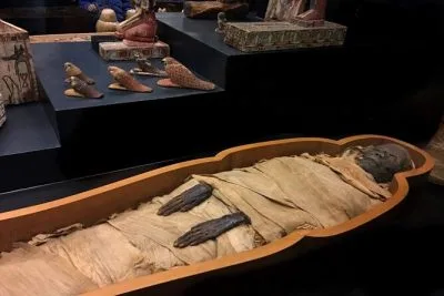 جولة خاصة: متحف الأقصر ومتحف التحنيط الفريد