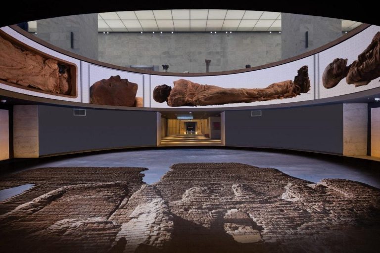 Tour di 8 giorni in Egitto: Il Cairo con voli interni e crociera sul Nilo